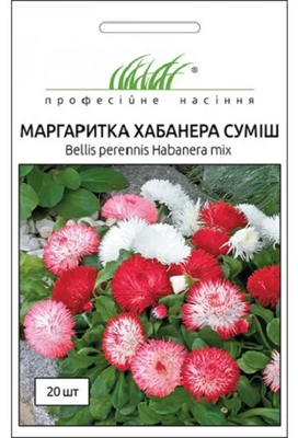 Маргаритка Хабанера суміш 025429 фото