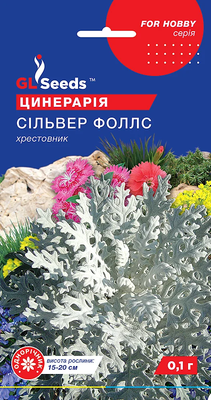 Цинерарiя Сiльвер Фоллс 0.1 г 025436 фото