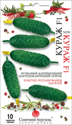 Огурец "Кураж F1" 24533 фото