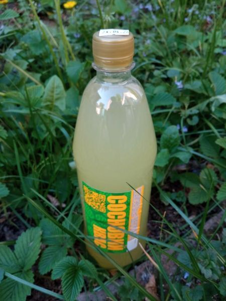 Квас сосновый 1 л N-KS-1000 фото